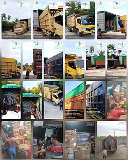 SEWA TRUK CDD, TONTON, FUSO, KONTAINER, SAMPIT - KALIMANTAN