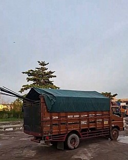SEWA TRUK KONTAINER FUSO SAMPIT