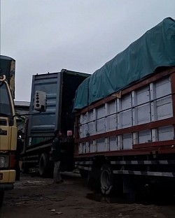 SEWA TRUK KONTAINER FUSO SAMPIT