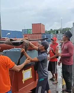SEWA TRUK KONTAINER FUSO SAMPIT
