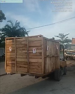 SEWA TRUK KONTAINER FUSO SAMPIT
