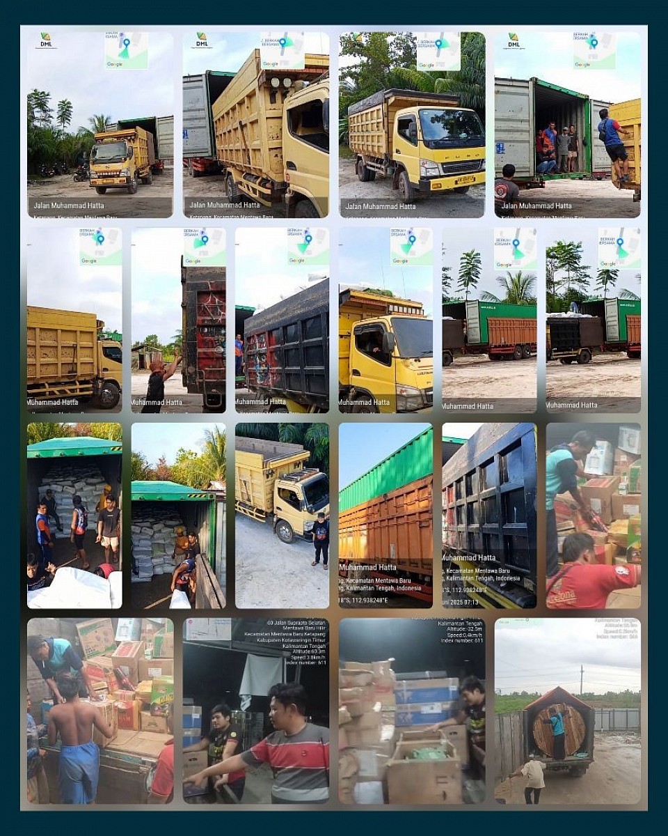 DML TRANSPORT